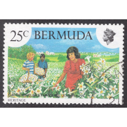 BERMUDA SCOTT 407