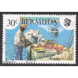 BERMUDA SCOTT 408