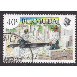 BERMUDA SCOTT 409