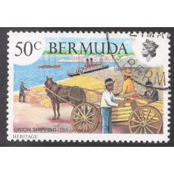BERMUDA SCOTT 410
