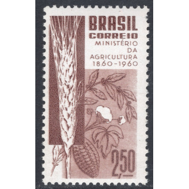 BRAZIL SCOTT 909