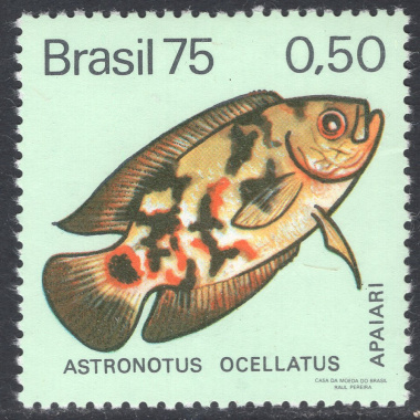 BRAZIL SCOTT 1390