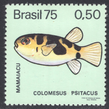 BRAZIL SCOTT 1391