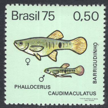 BRAZIL SCOTT 1392