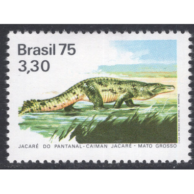 BRAZIL SCOTT 1397