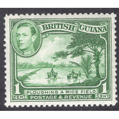 BRITISH GUIANA SCOTT 230