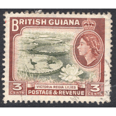 BRITISH GUIANA SCOTT 255