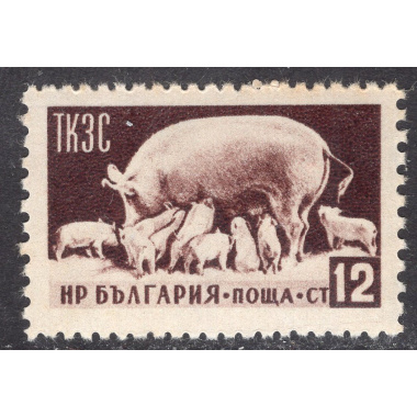 BULGARIA SCOTT 884