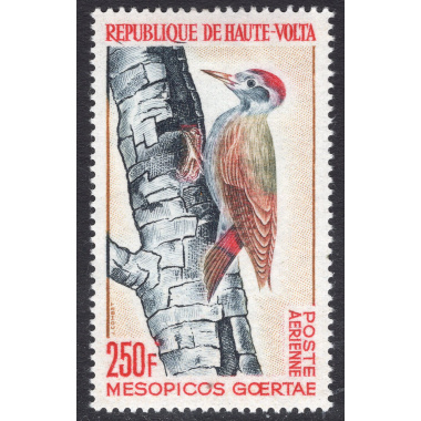 BURKINA FASO SCOTT C18