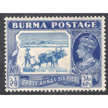 BURMA SCOTT 27