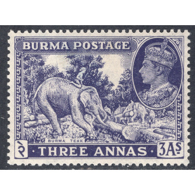 BURMA SCOTT 58