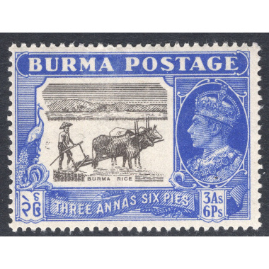 BURMA SCOTT 59
