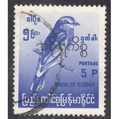 BURMA SCOTT O108