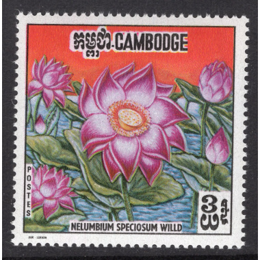 CAMBODIA SCOTT 231A
