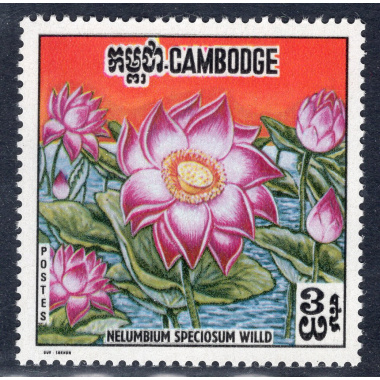 CAMBODIA SCOTT 231A