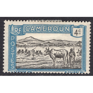CAMEROUN SCOTT 172