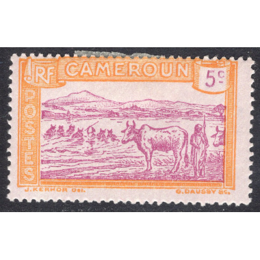 CAMEROUN SCOTT 173