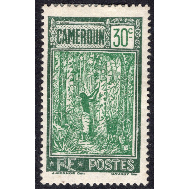 CAMEROUN SCOTT 182