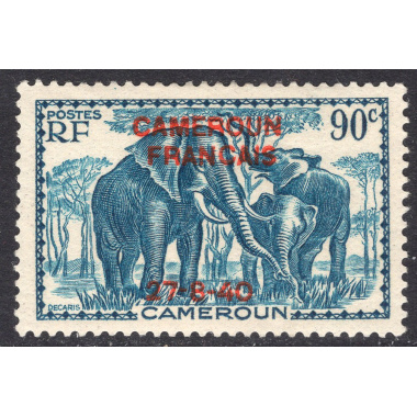 CAMEROUN SCOTT 268