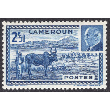 CAMEROUN SCOTT 281B