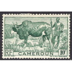 CAMEROUN SCOTT 304