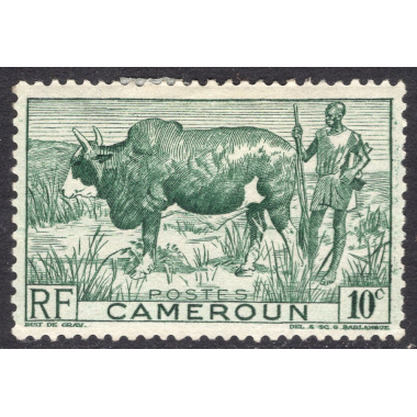 CAMEROUN SCOTT 304