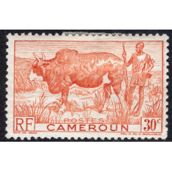 CAMEROUN SCOTT 305