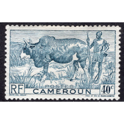 CAMEROUN SCOTT 306