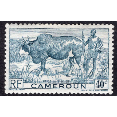CAMEROUN SCOTT 306