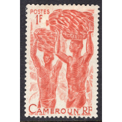 CAMEROUN SCOTT 310