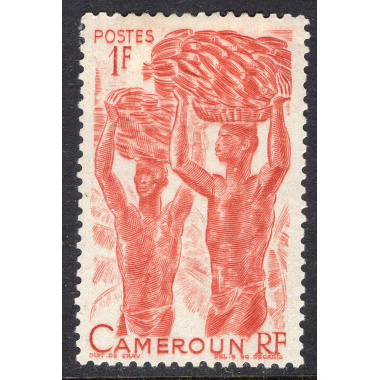 CAMEROUN SCOTT 310