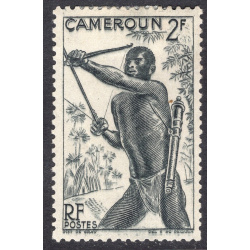 CAMEROUN SCOTT 313