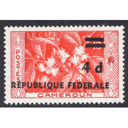 CAMEROUN SCOTT 348