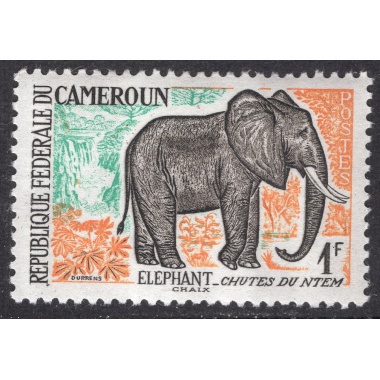 CAMEROUN SCOTT 359