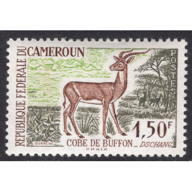 CAMEROUN SCOTT 360