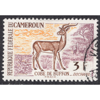 CAMEROUN SCOTT 362