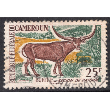 CAMEROUN SCOTT 370