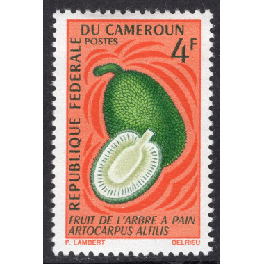 CAMEROUN SCOTT 463