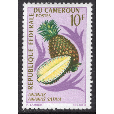 CAMEROUN SCOTT 467