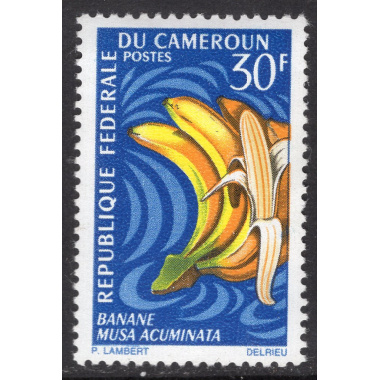CAMEROUN SCOTT 468