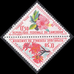 CAMEROUN SCOTT J35A