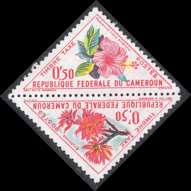 CAMEROUN SCOTT J35A