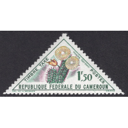 CAMEROUN SCOTT J38