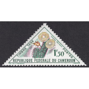 CAMEROUN SCOTT J38