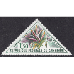 CAMEROUN SCOTT J39
