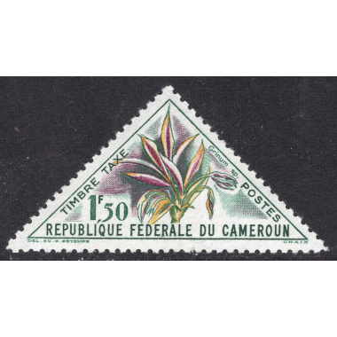 CAMEROUN SCOTT J39
