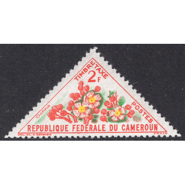 CAMEROUN SCOTT J40