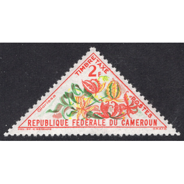CAMEROUN SCOTT J41