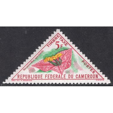 CAMEROUN SCOTT J43