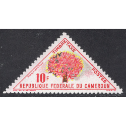 CAMEROUN SCOTT J45